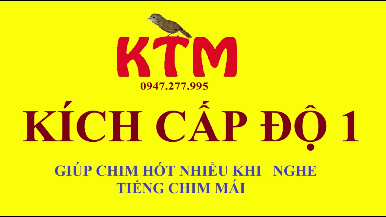 KÍCH TIỂU MI HÓT ĐẤU ( 3 cấp độ cho từng giai đoạn của chim - giúp chim không bị hoảng )