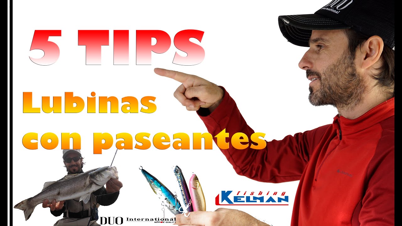 TRUCOS para la pesca de la LUBINA con paseantes 🎣🔝