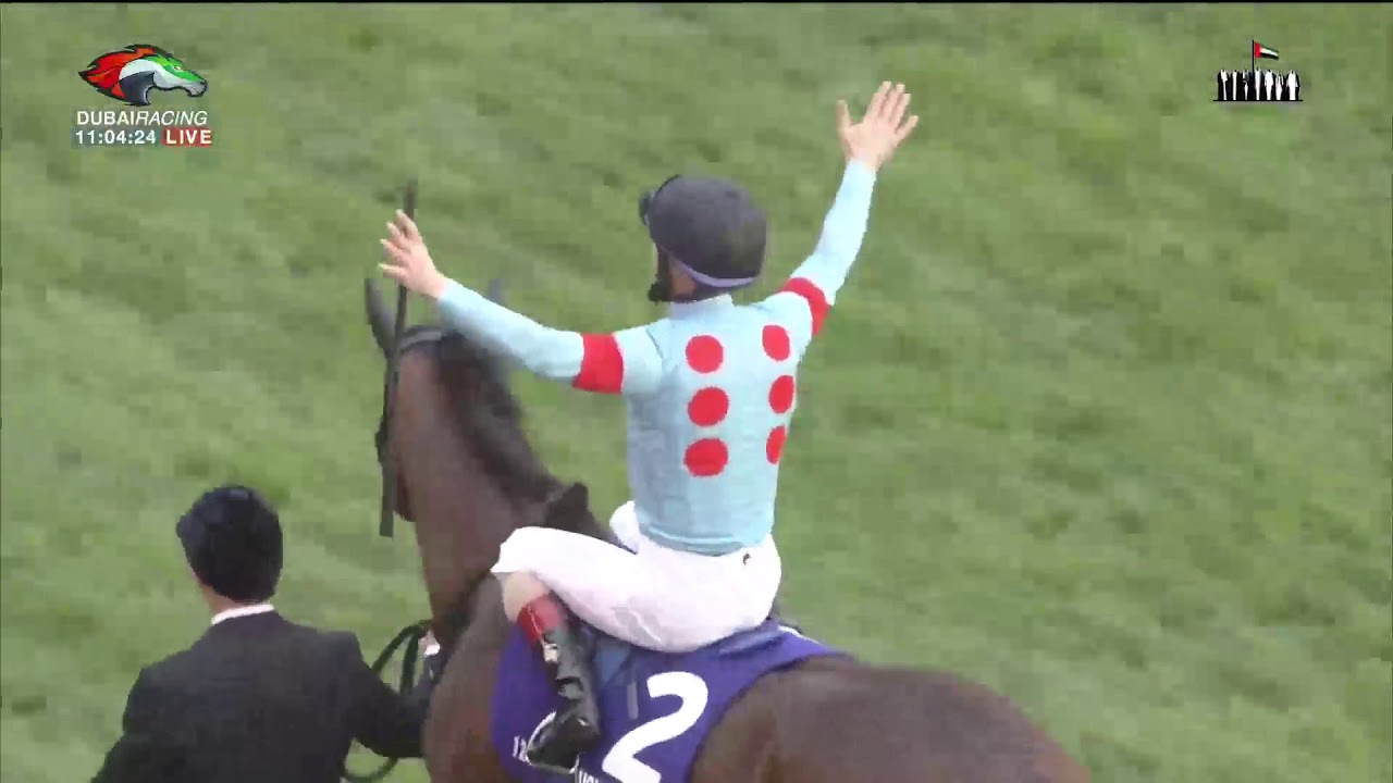 2020.11.29 Japan Cup - Almond Eye