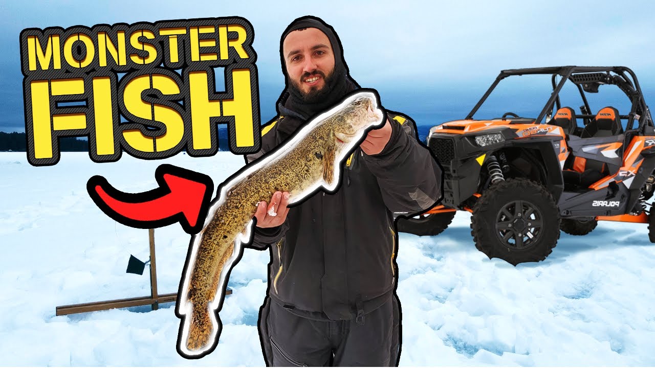 Could this MONSTER Fish WIN the CASH PRIZE? (Ice Fishing Derby)