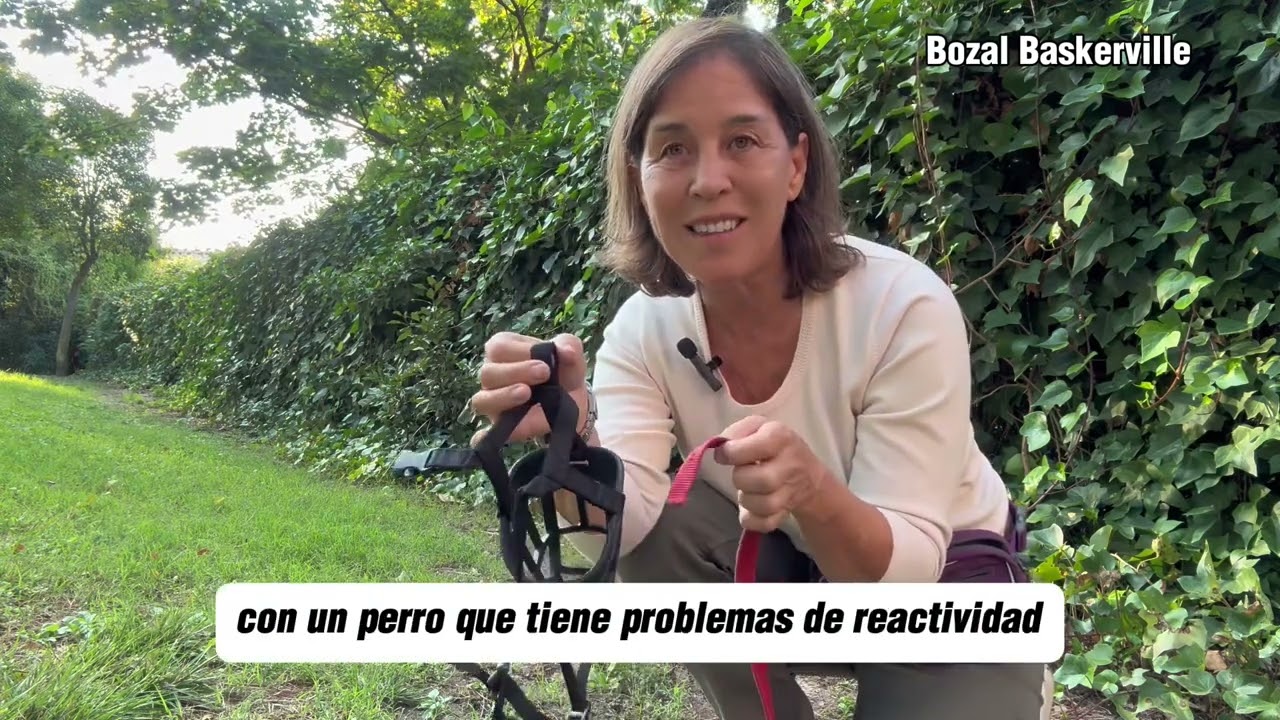 Escoge el mejor bozal para tu perro Baskerville 2024