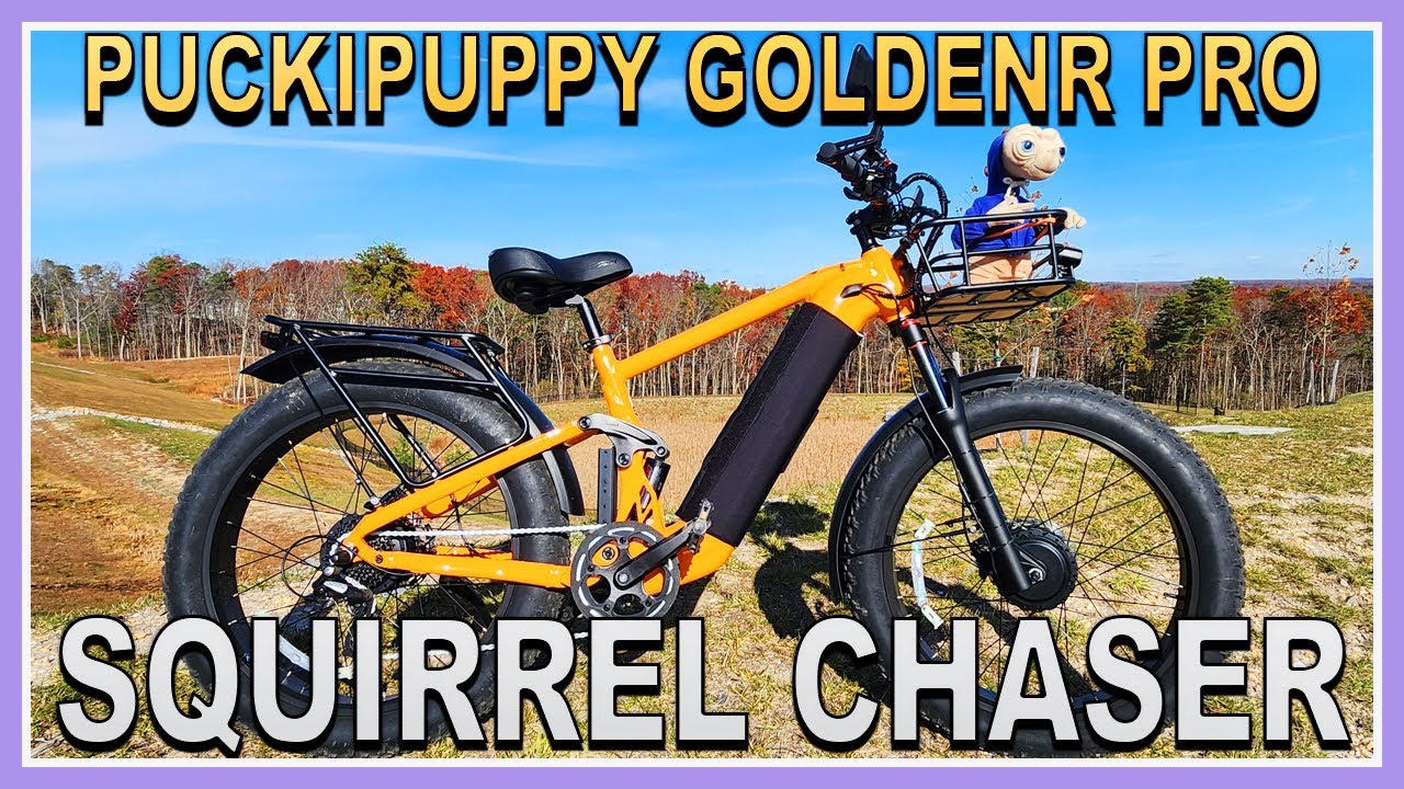PUCKIPUPPY GOLDENR PRO бежит на вершину холма, словно щенок, преследующий белку!