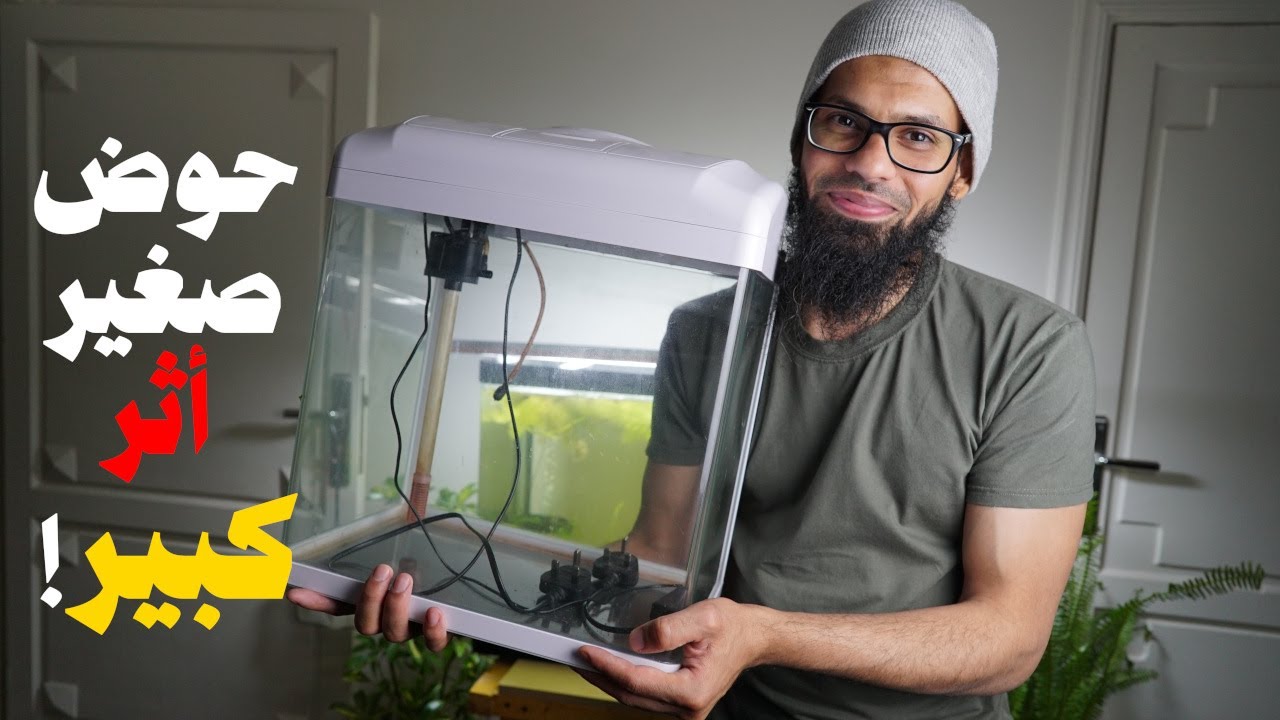 جمال الحوض الطبيعي… أكثر مما تتوقع! ✨🌿