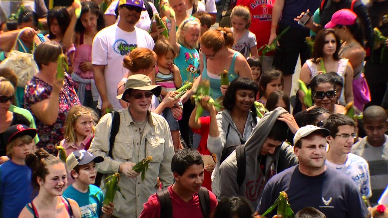 Corn Husking Record Set at Knott's Berry Farm