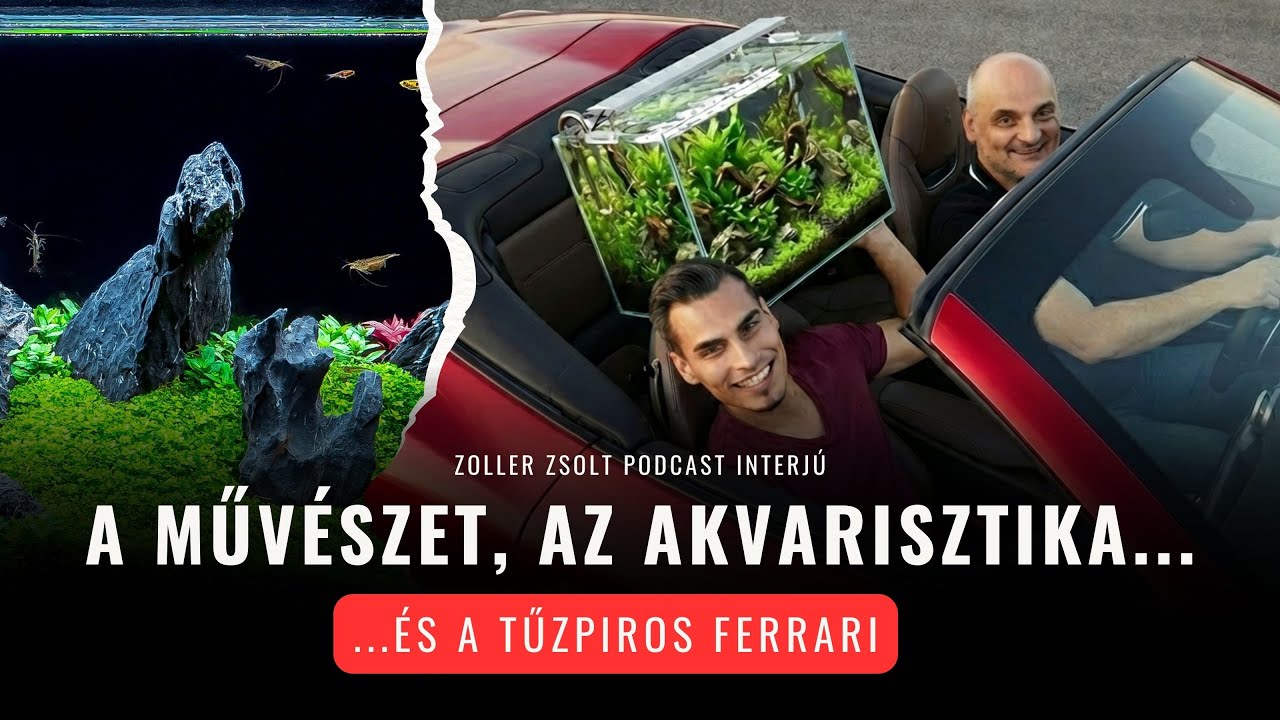 Zoller Zsolt akvarisztikai útja – Az első akváriumtól a high-tech világig