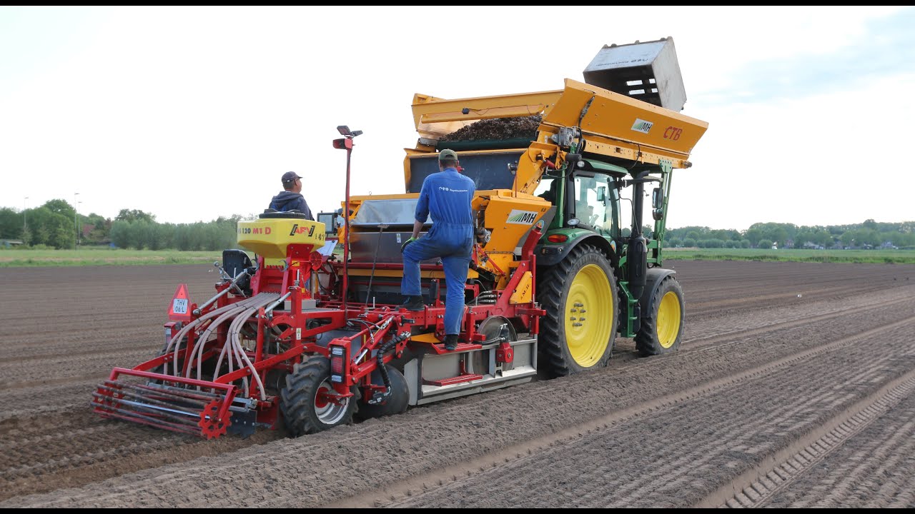 bloembollen planten | koelhuis jacobs
