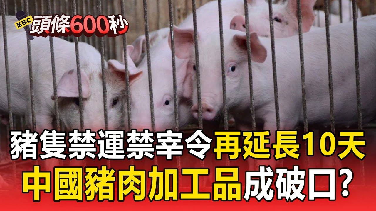 豬隻禁運禁宰令「再延長10天」！ 中國豬肉加工品「小包衝關」恐成豬瘟破口？【頭條600秒】