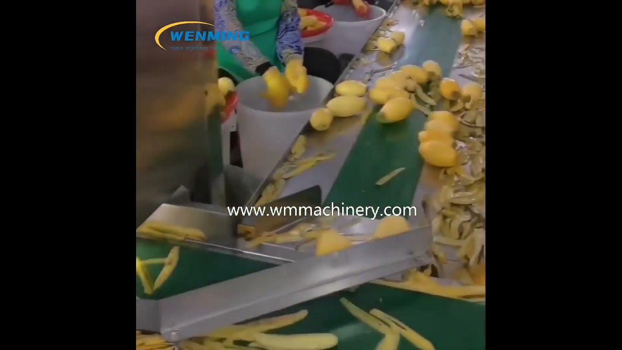 MANGO PEELER MACHINE Industrial Mango Peeling Machine Simulate human hand peeling #machine #factory