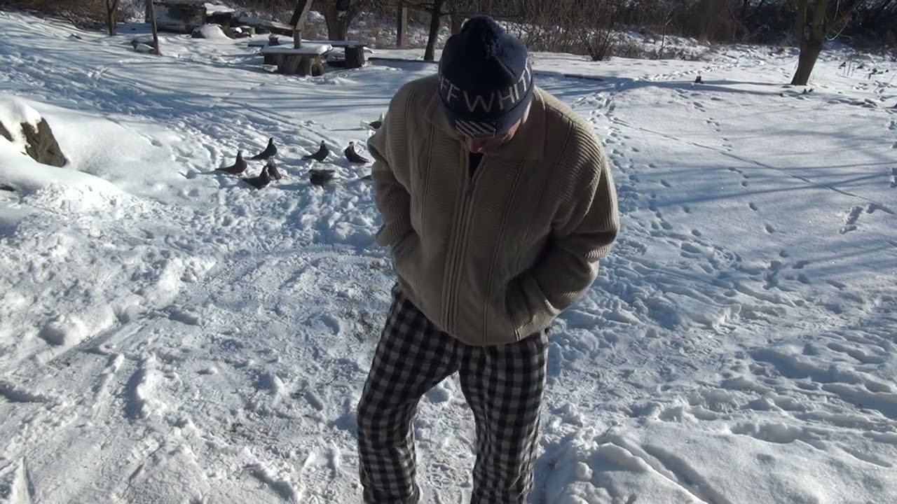 5 ФЕВРАЛЯ ГОЛУБИ НИОЛАЕВСКИЕ