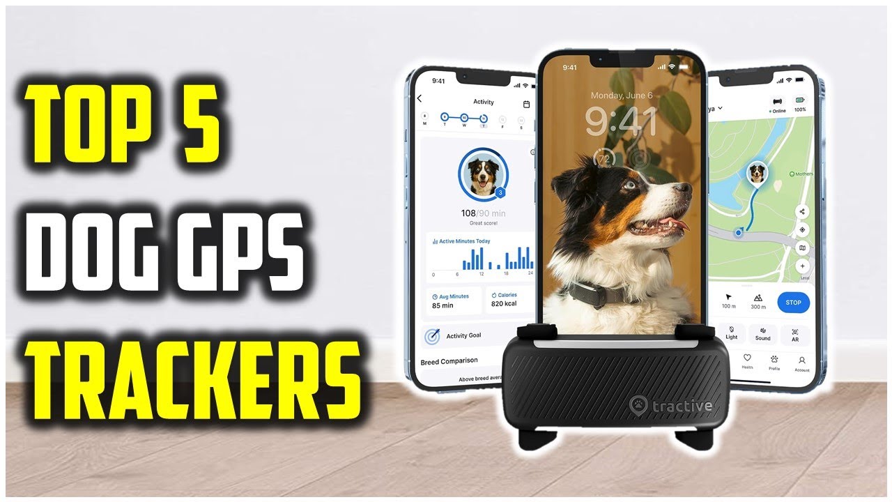 Top 5 Best Dog GPS Trackers 2026 | Tractive vs. Fi vs. Halo (Tested & Ranked!)