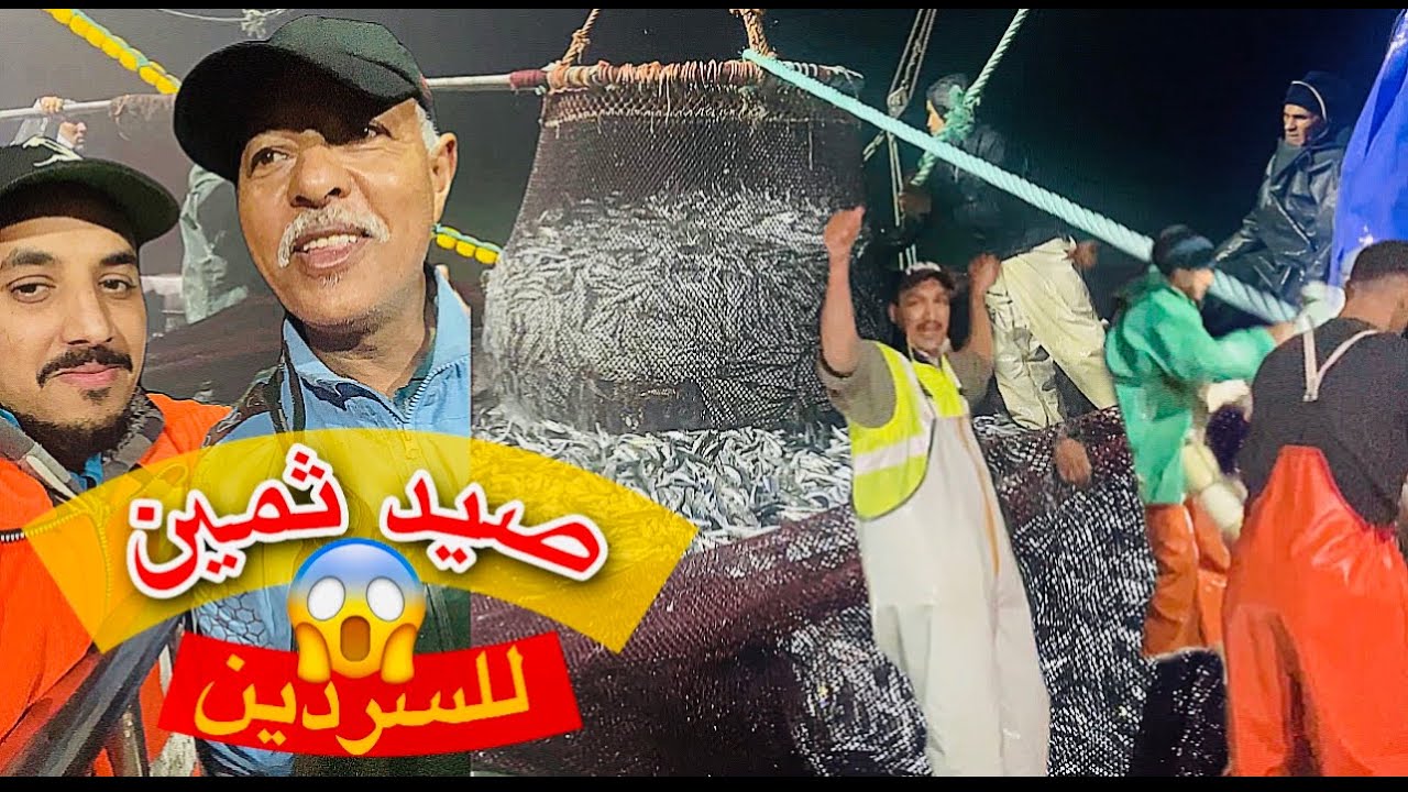 خيرات بلادي : أجي تشوفو شحال صيدنا  من سمك السردين  FishVlog