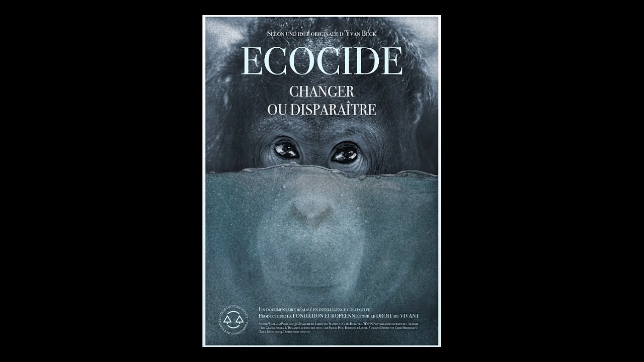 Documentaire 