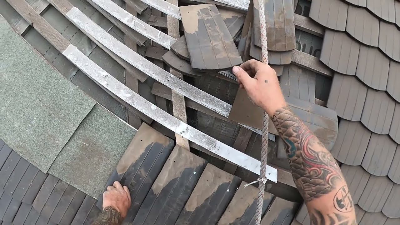 Hechtgaube mit Biber decken - Fliehende Biberkehle - Live vom Biberdach in Gersdorf
