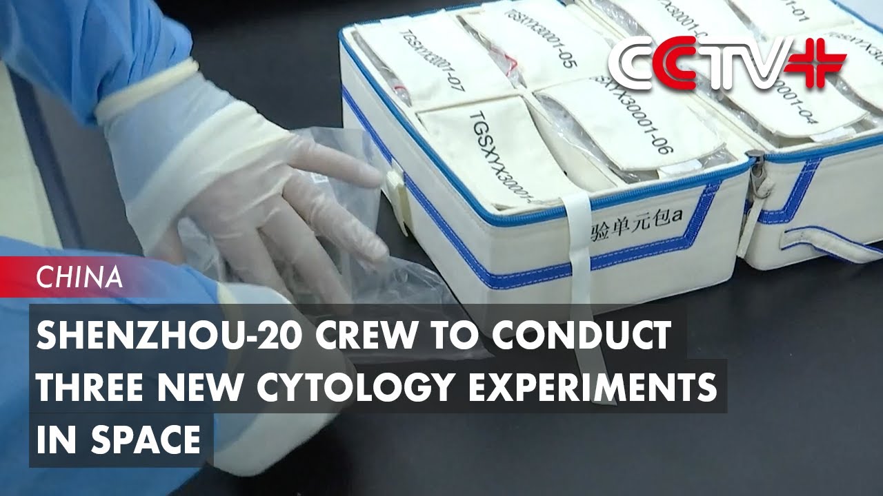 Shenzhou-20 Crew to Conduct Three New Cytology Experiments in Space