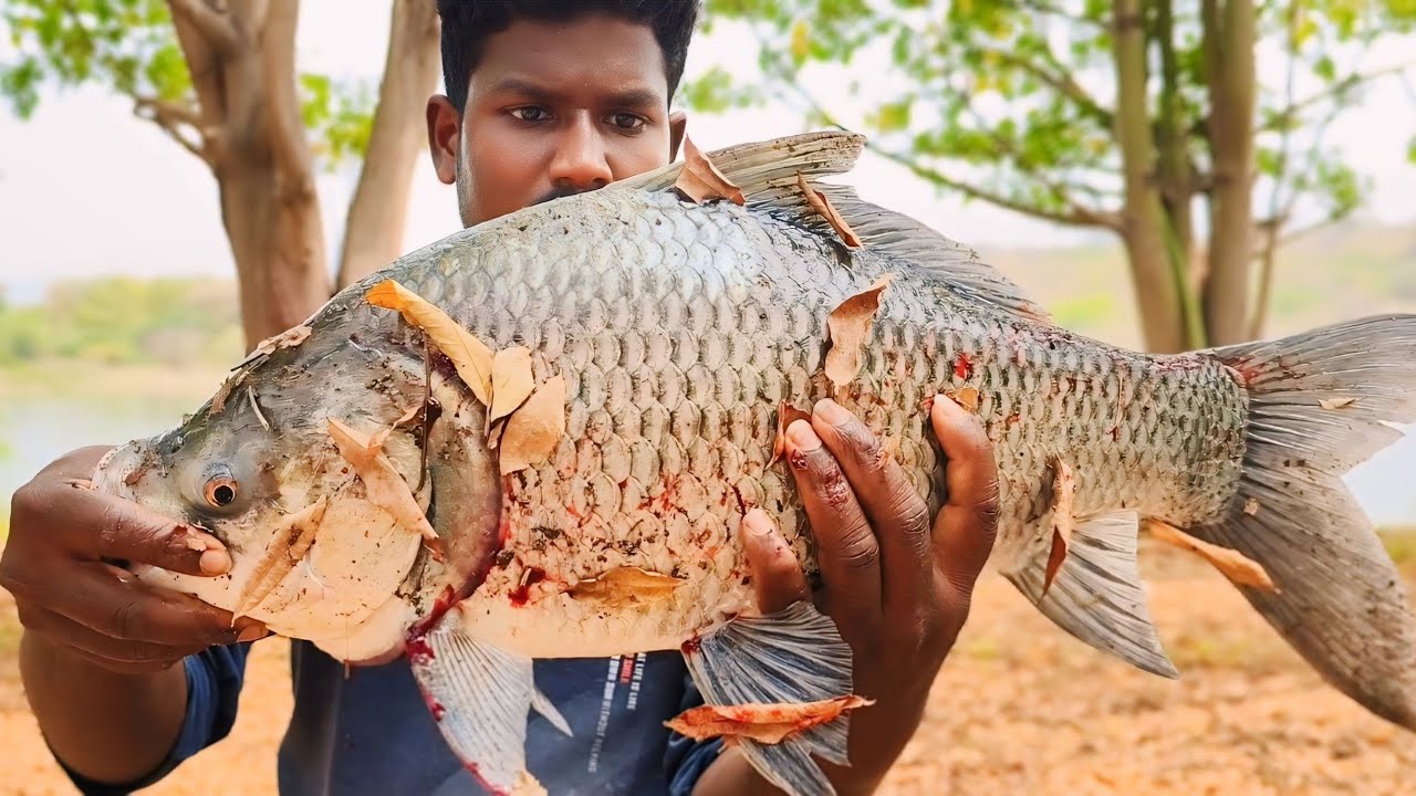 #SPIDER HOOK missing Biggest ketla#ஒரு நொடியில் தப்பித்த மீன்#fishing