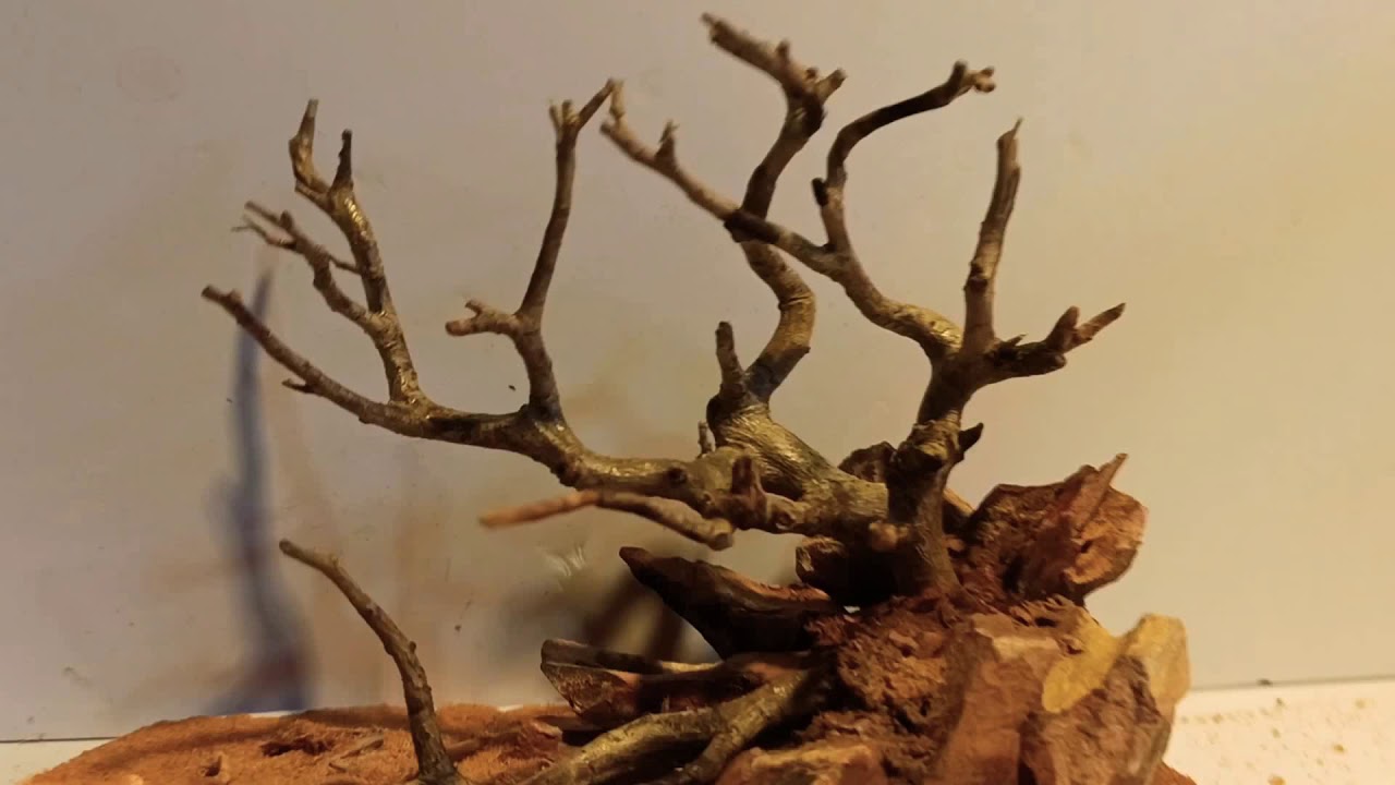 Super mini biotop layout