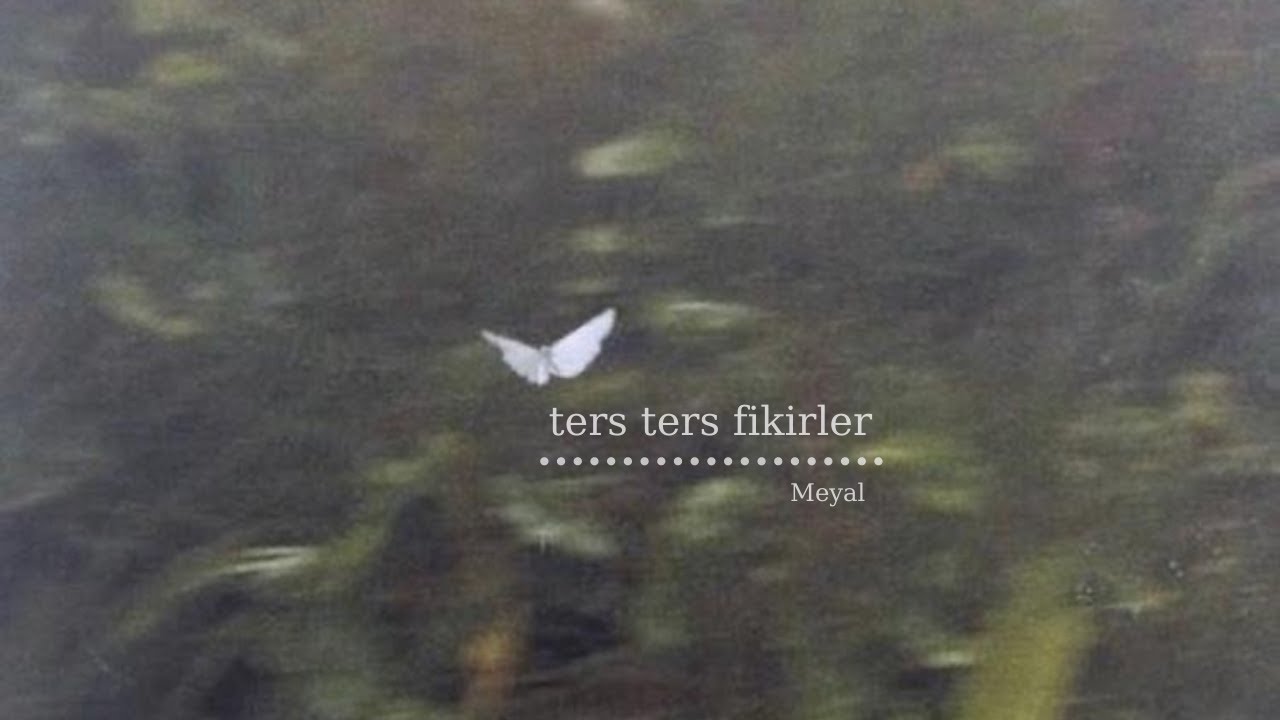 Meyal - Ters Ters Fikirler
