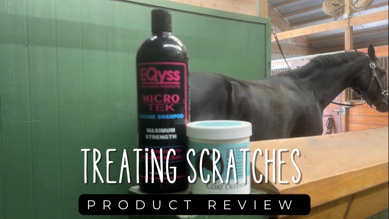 Equine Scratches Treatment: Micro Tek Shampoo & Coat Defense Drying Paste Review @coatdefense2781