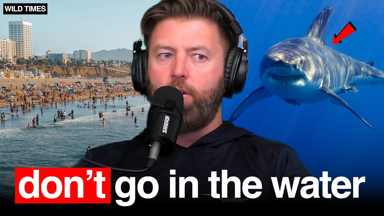 Forrest Galante Warns California Beaches Are Getting Too Dangerous To Swim