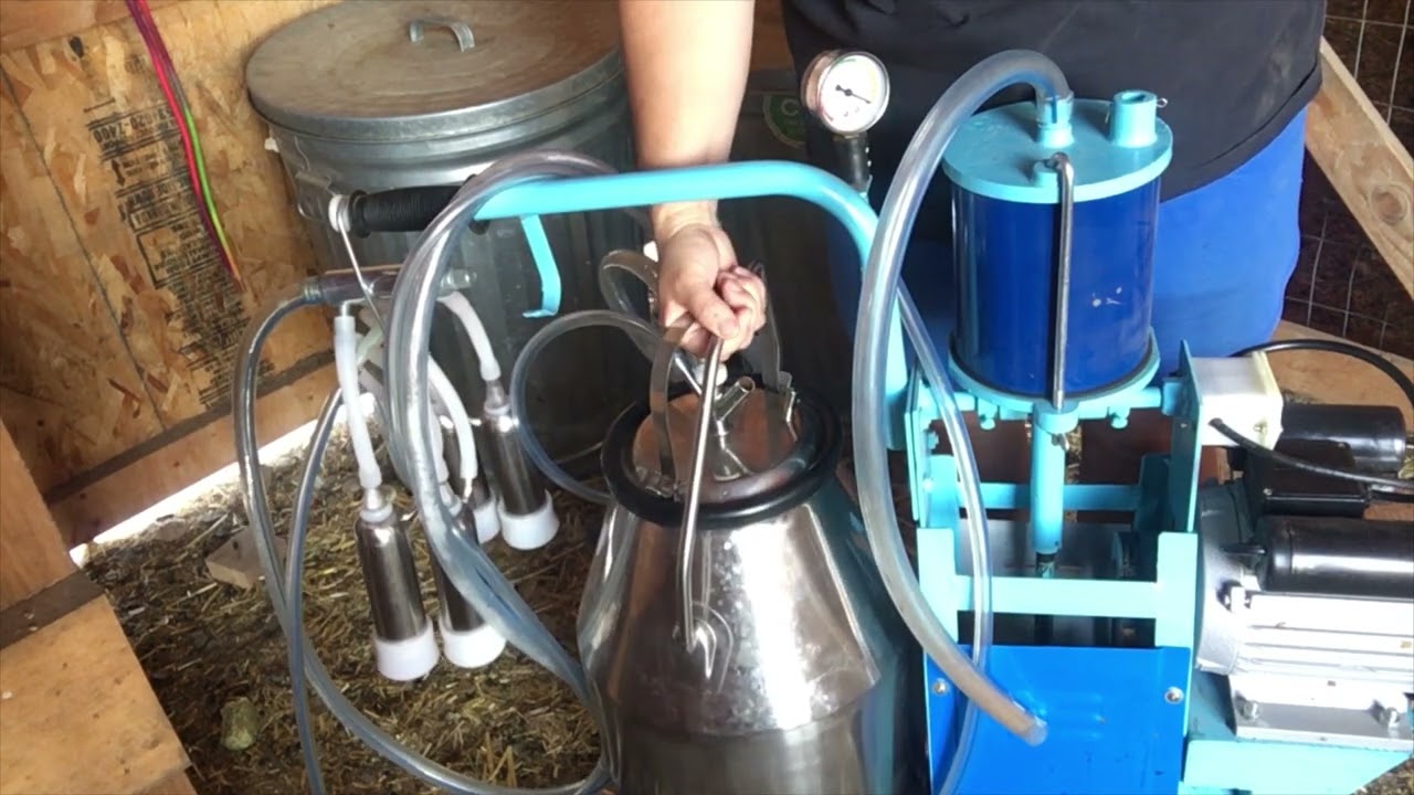 Lolicute Electric Milking Machine Review