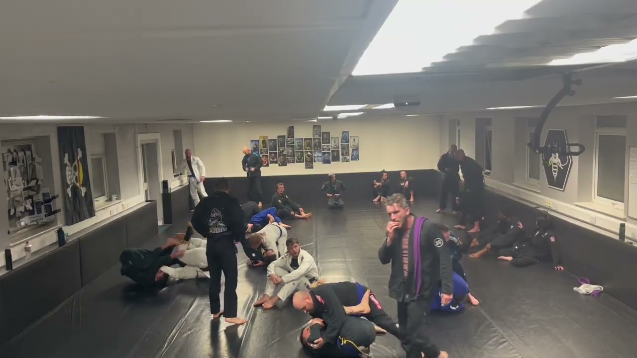 12/02/26 (Tues) - HIVE BJJ - Gi Rounds 
