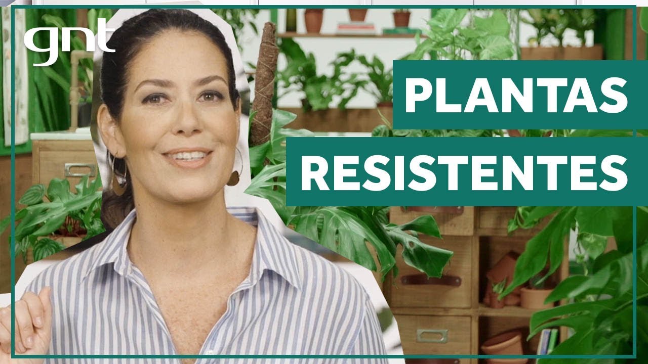 Dicas de plantas fáceis de cuidar | Jardinagem | Gabi Pileggi