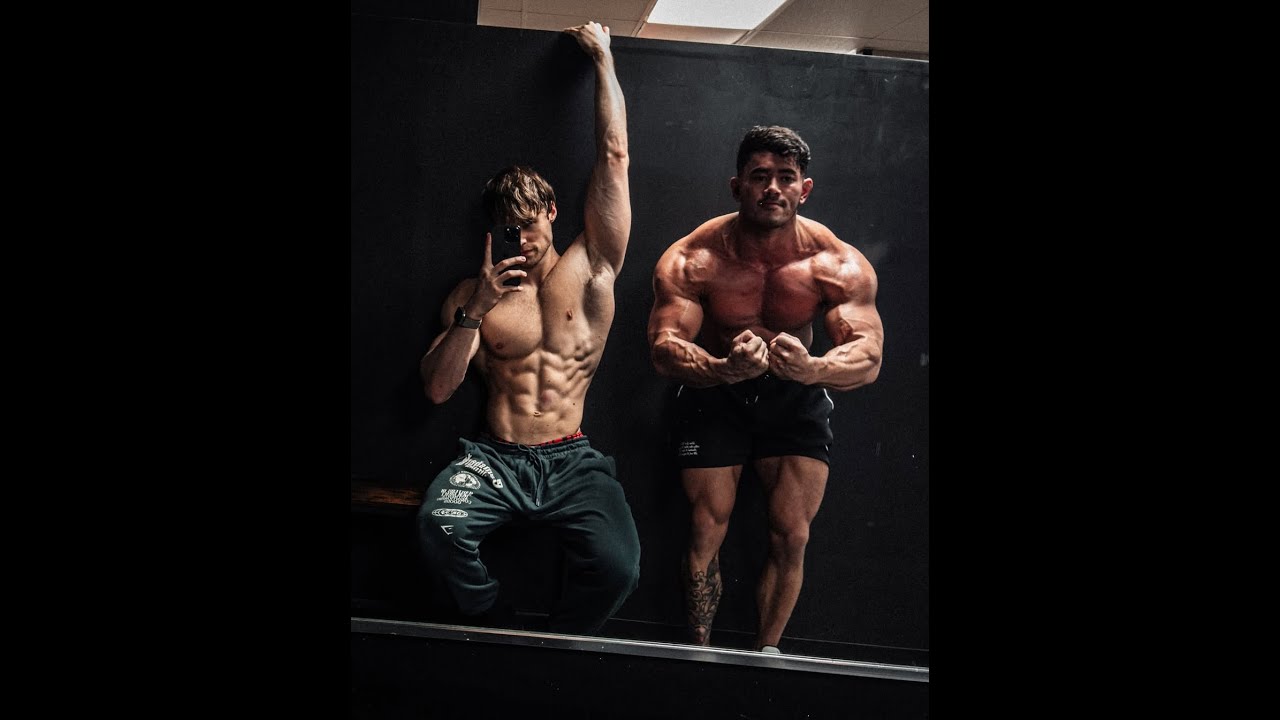 David Laid's gym aesthetic vibes | playlist