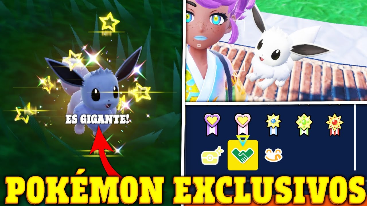 ✨ COMO CONSEGUIR TODOS los EEVEE SHINY de EVENTO EXCLUSIVOS GIGANTES y DIMINUTOS! POKÉMON ESCARLATA