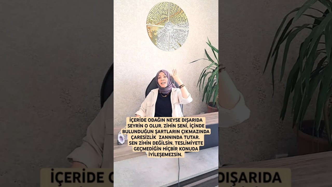 PROBLEME ODAKLANMA!