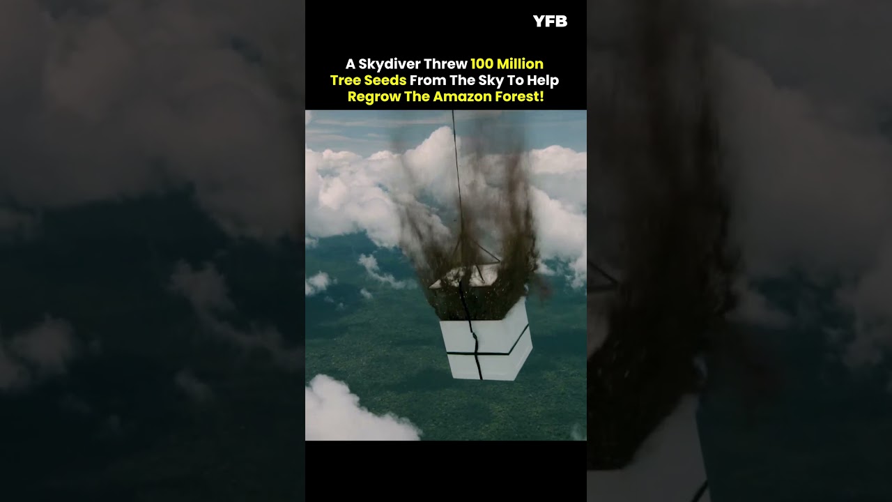 SKYDIVER DROPS SEEDS FROM SKY TO REGROW AMAZON&nbsp;FOREST! #shorts #trending #facts #trendingshorts