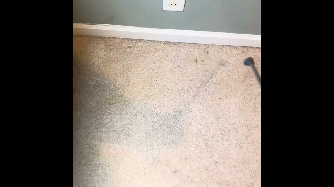 Pet urine filled carpet, heavy CRB kick out!