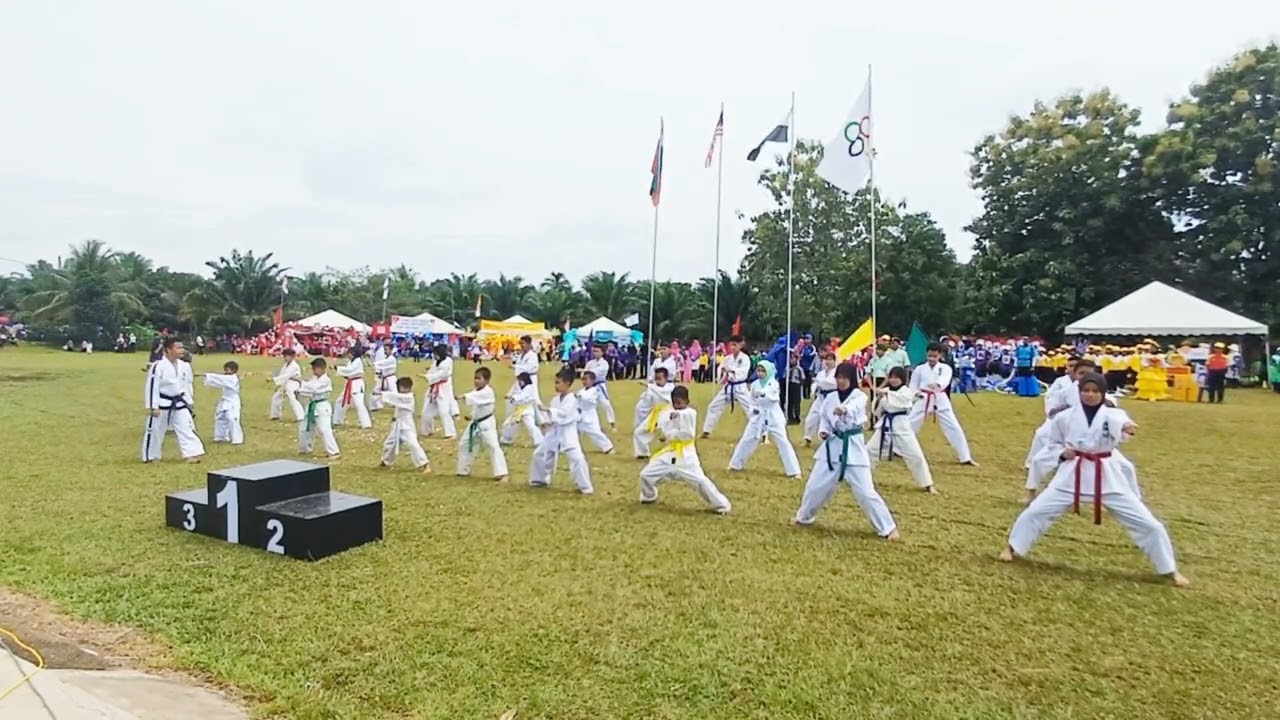 PERSEMBAHAN TEAKWANDO @ SK (LKTP) BUKIT GOH