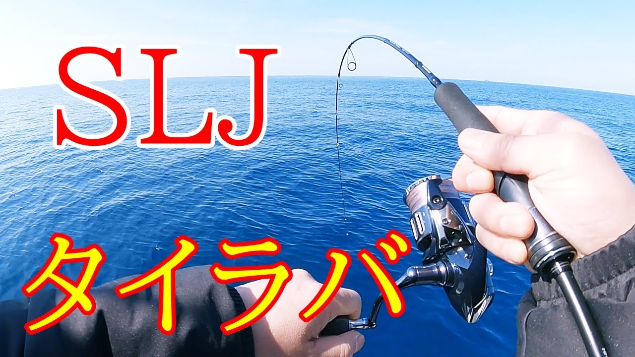 ＳＬＪ・タイラバ ノッコミ調査 久しぶりにジギングもやってみました