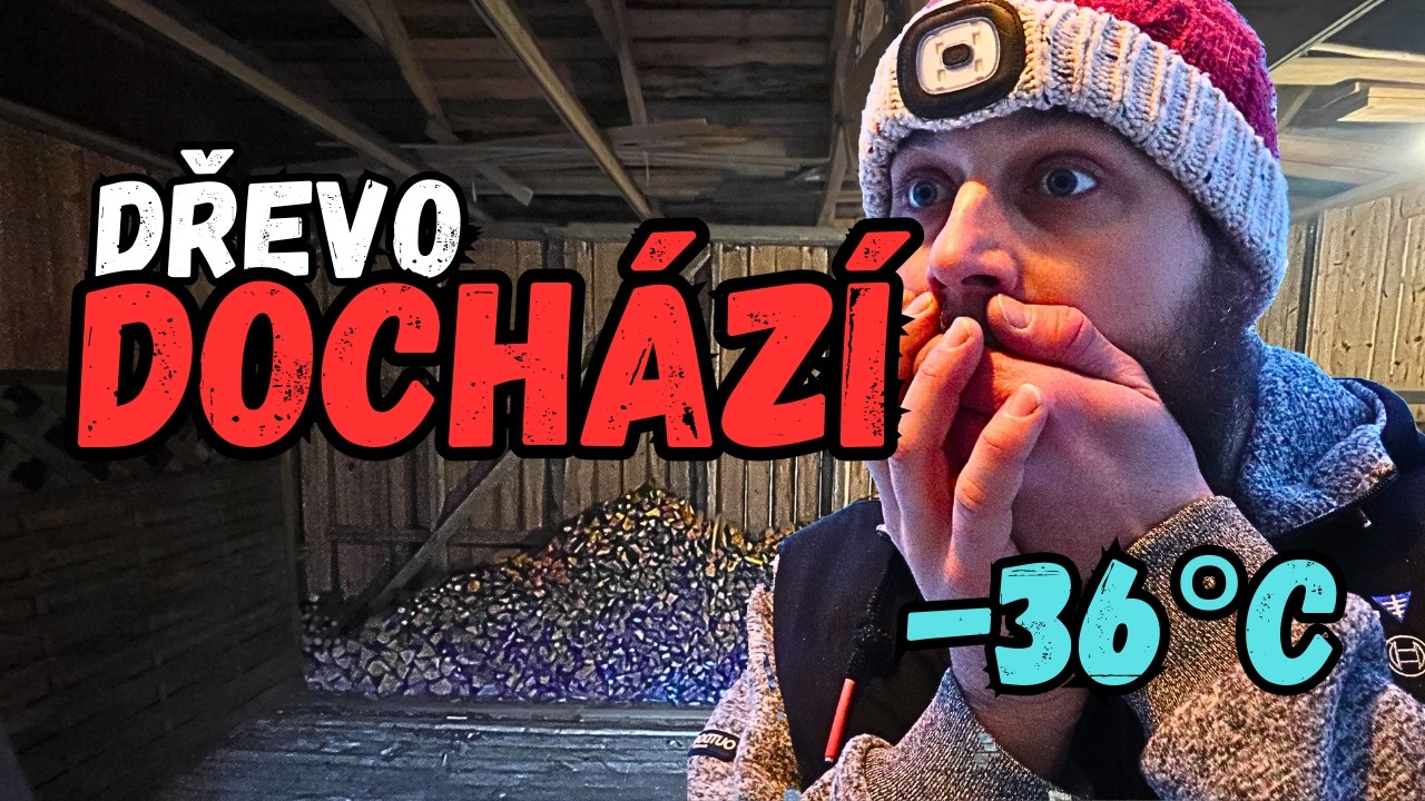 Došlo mi dřevo uprostřed švédské zimy! Kolik mě to stálo 🇸🇪 🏠
