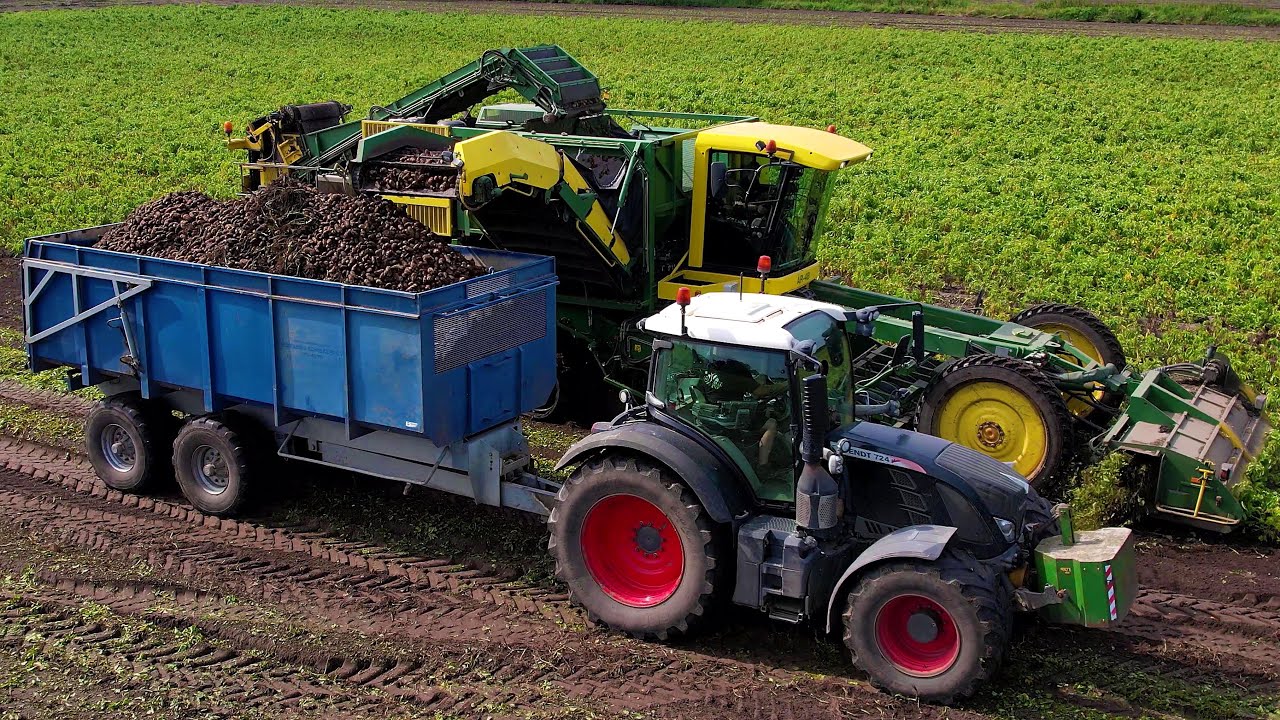 Aardappels rooien | Potato harvest | Ploeger | Fendt | Kartoffeln roden | Aardappeloogst 2024