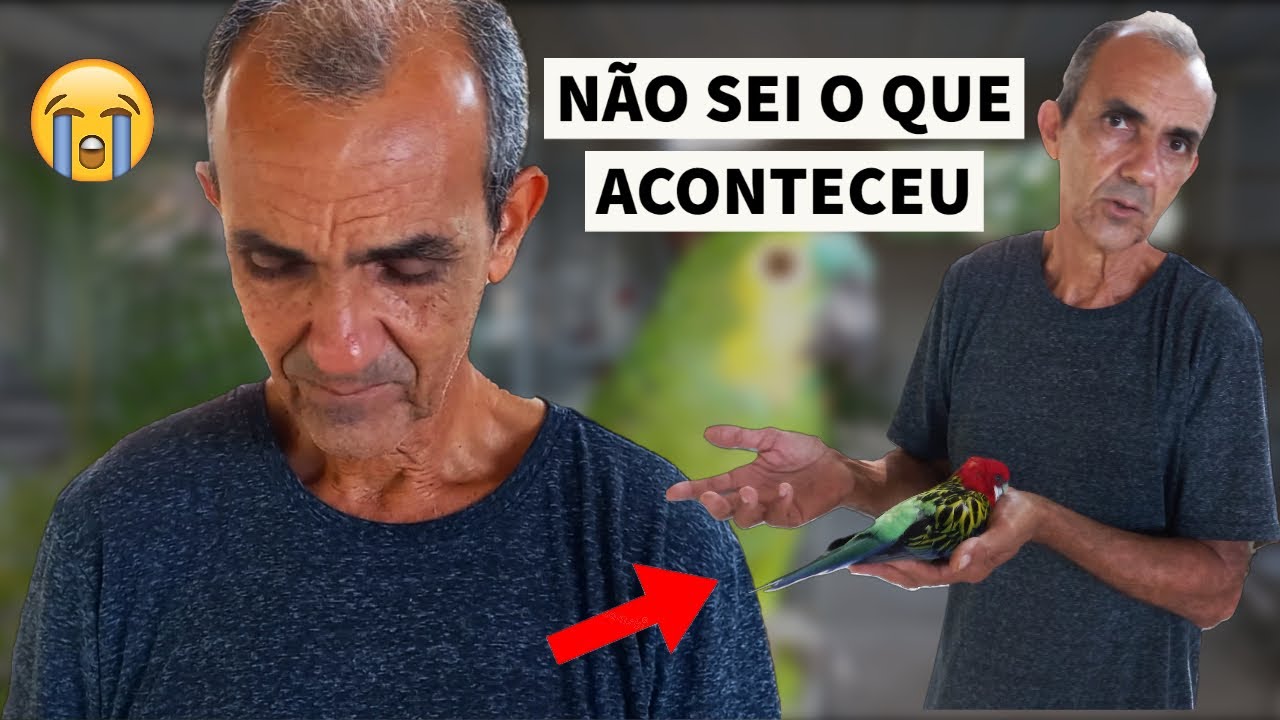 A ROSELA SE FOI l UM DOS DIAS MAIS TRISTES DO CRIATÓRIO