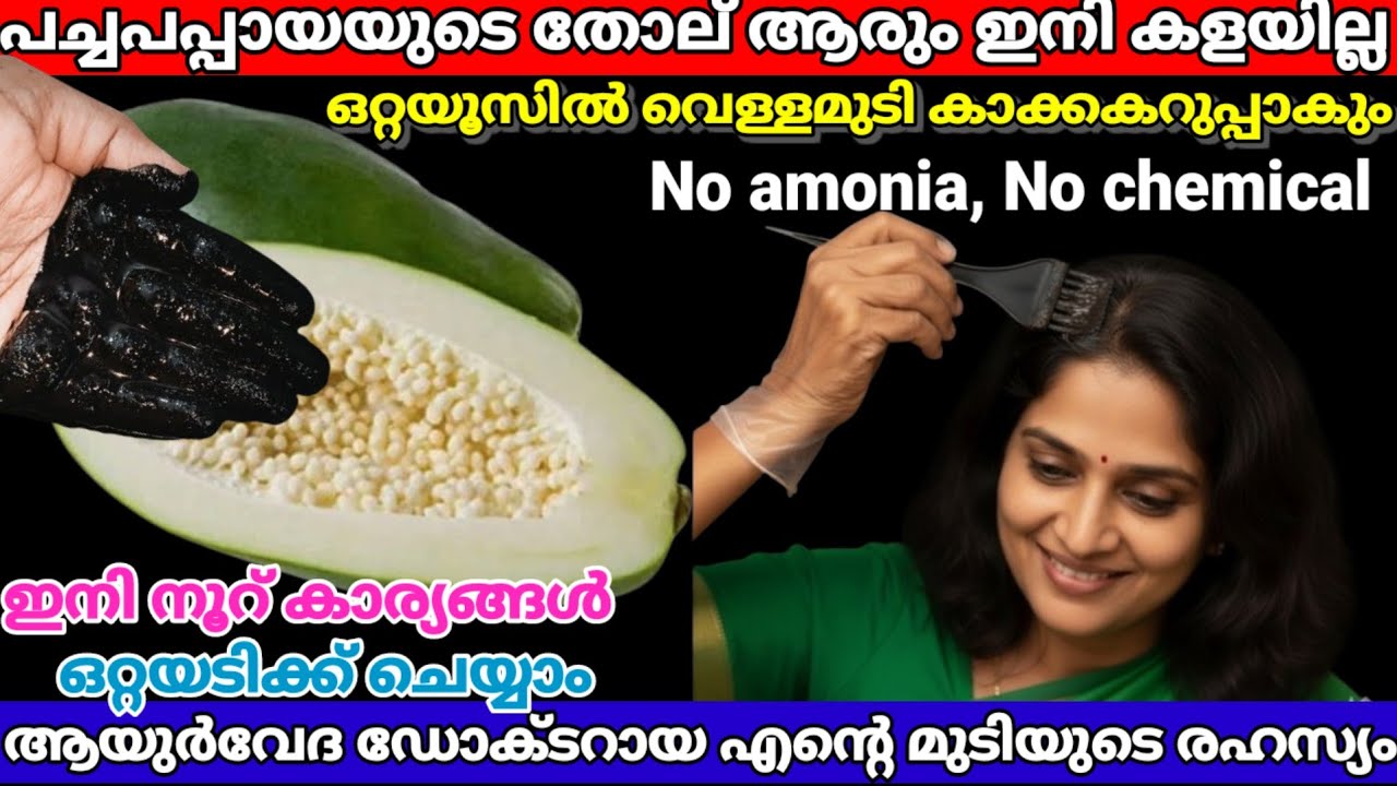 നൂറ് കാര്യങ്ങൾ ഒറ്റയടിക്ക് ചെയ്ത് തീർക്കാം ഒന്നും കളയാനില്ല  80ഇലും കാക്ക കറുപ്പുള്ള മുടി |hairdye