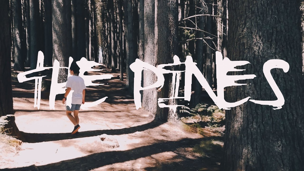 THE PINES | INSPIRED BY TAYLORCUT FILMS
