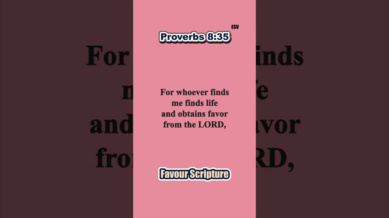 Favour - For whoever finds me finds life...