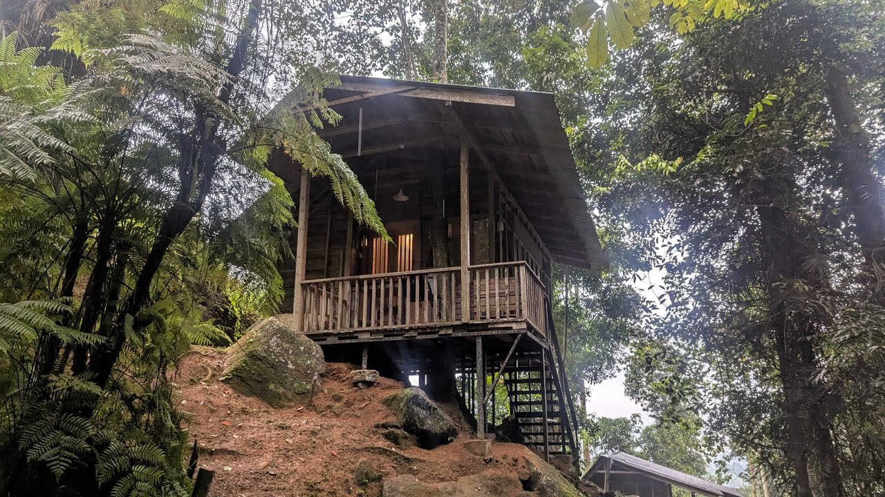 Nature&rsquo;s Best Kept Secret: Forest Retreat Deniyaya 🌳💦 [COMING SOON]