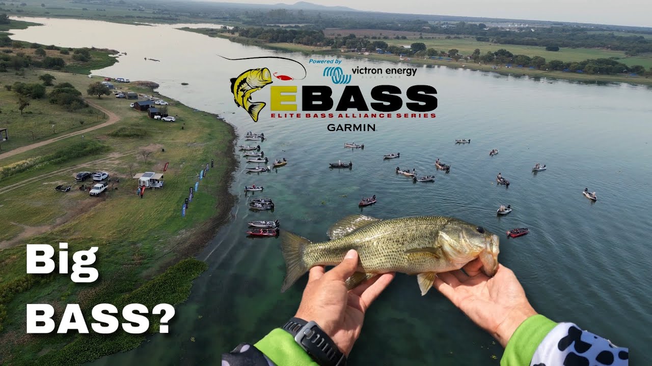 Where are the BIG BASS at ROODEKOPPIES - EBASS Leg 1