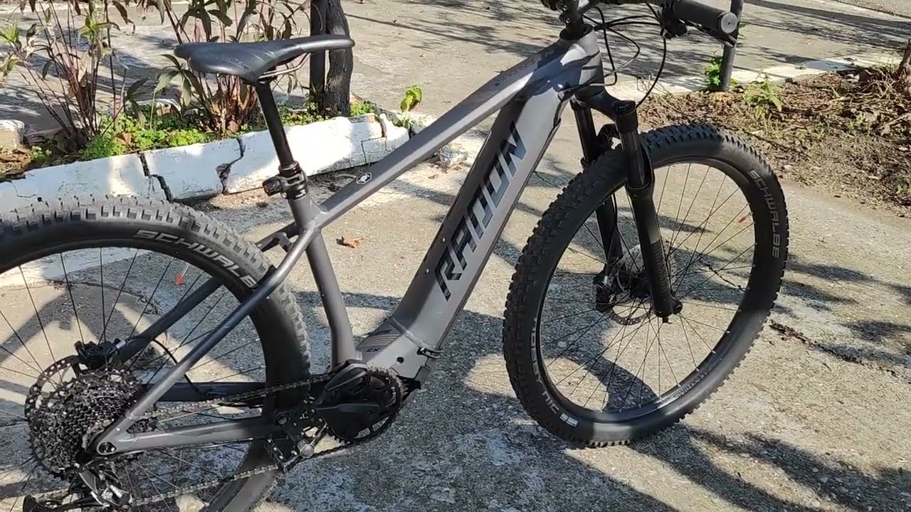 Radon Jealous Hybrid  9.0 625 Alu (2021)