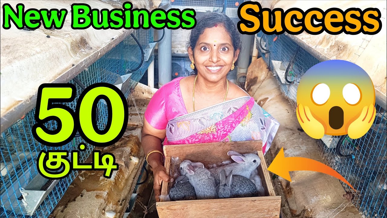முதல் மாதத்திலேயே 50 முயல் குட்டி🐇🐰😱 Rabbit Farming Success 🙏 #karthikgowri