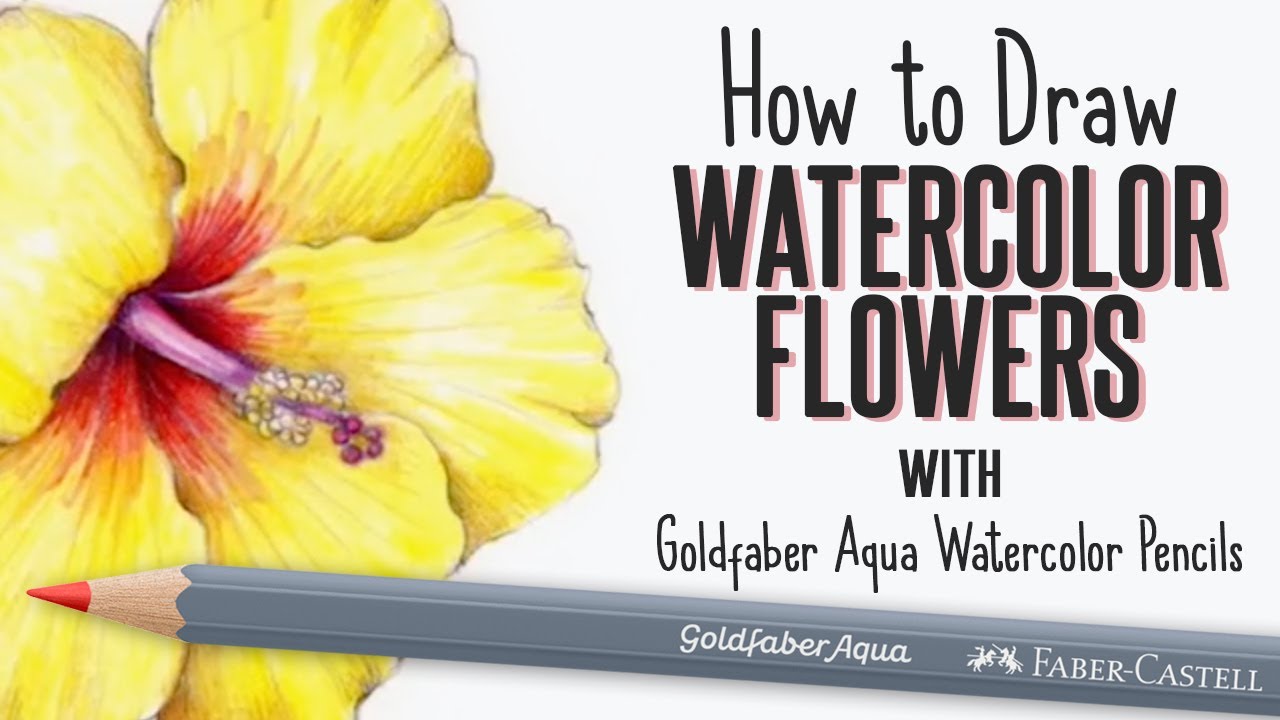 Learn How to Draw Flowers with Goldfaber Aqua Watercolor Pencils