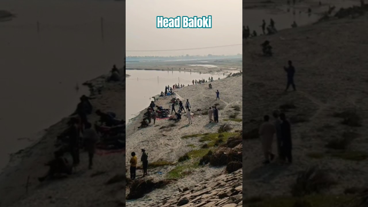 Head Baloki #fishing #ytstudioes #minivlog #flood #shortvideo #fish #shortvideoformat