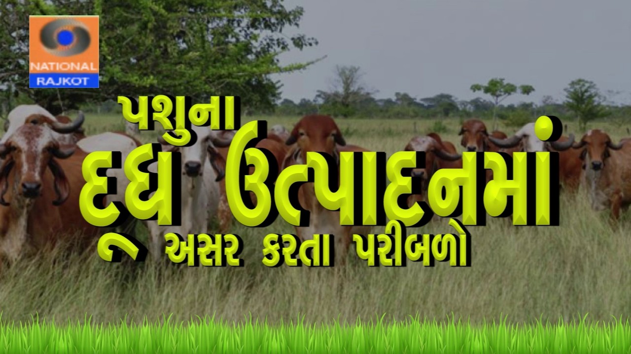 Pashuna Dudh Utpadanma  Asar Karata Paribalo || Dr P T Kakdiya || KrushiDarshan Rajkot