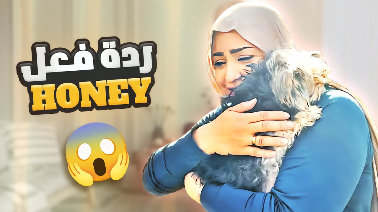 رجعنا لامريكا بعد اجازة رائعة بمصر