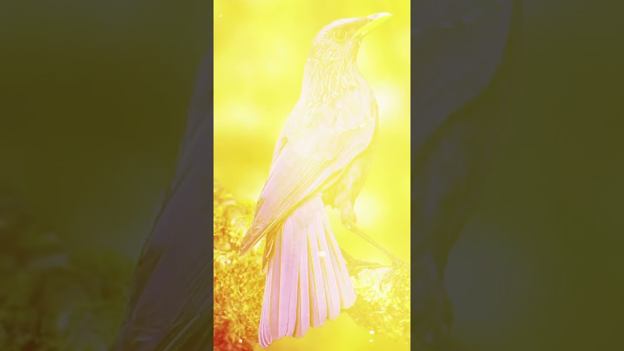 🦜 Unreal Colorful Birds in the Wild 
