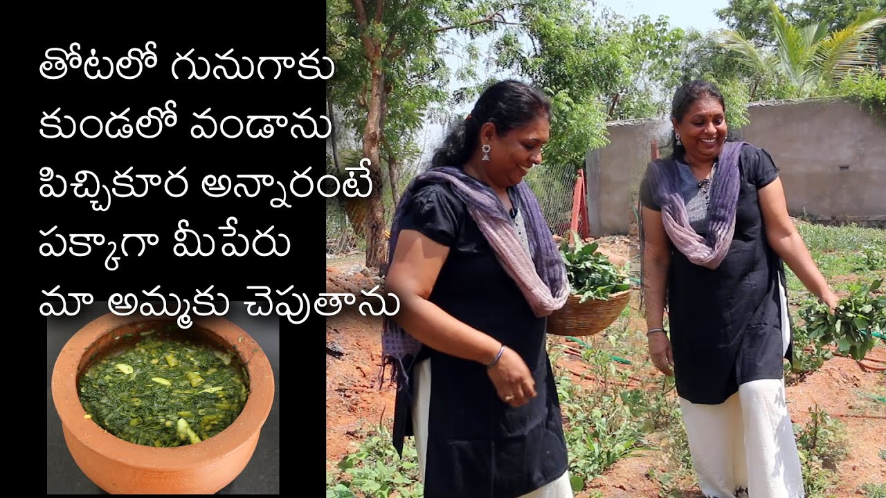 Gunugu Kura Medicinal Leafy Veg-Village Food/ Village cooking in Clay Pots/Live Village Life with Me