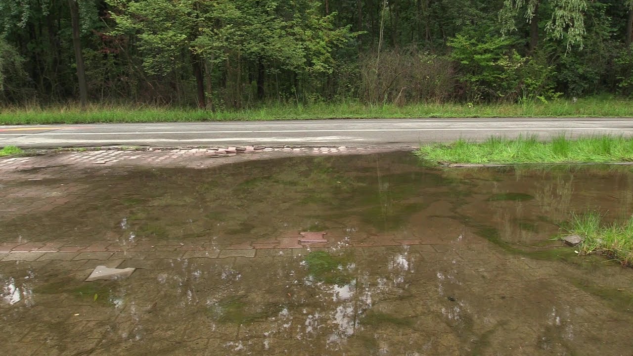 Muchowiec się zapada 20.07.2018
